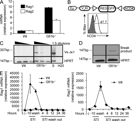 Figure 6.