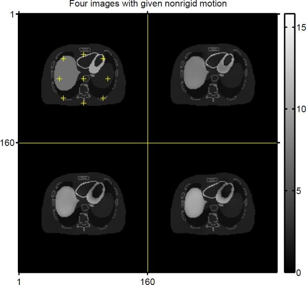 Fig. 6