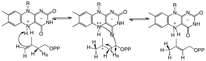 Scheme 3