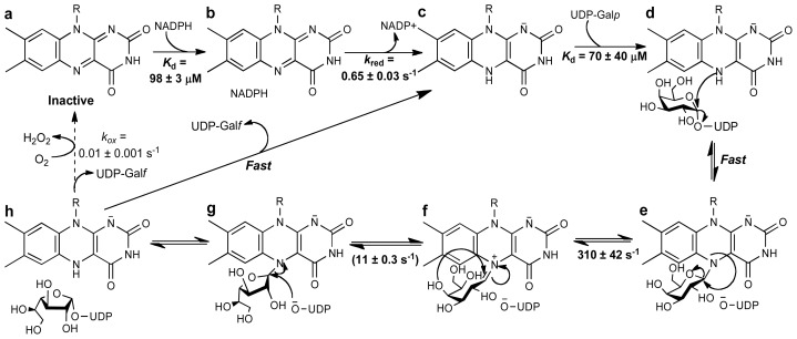 Scheme 4