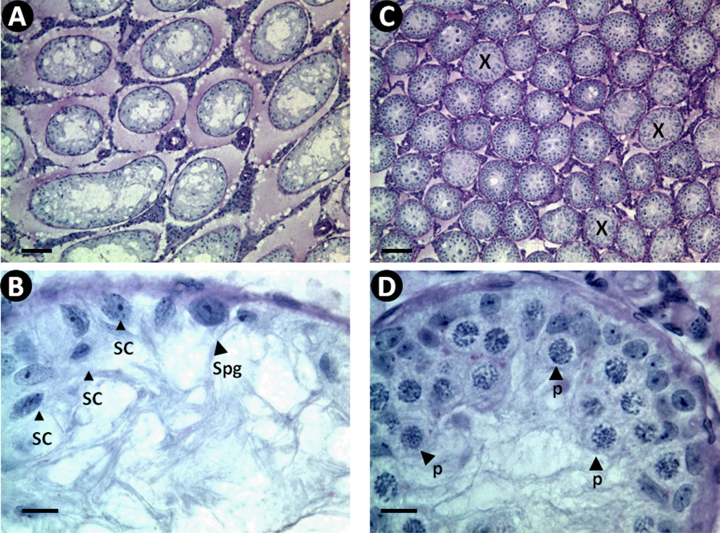 FIG 9