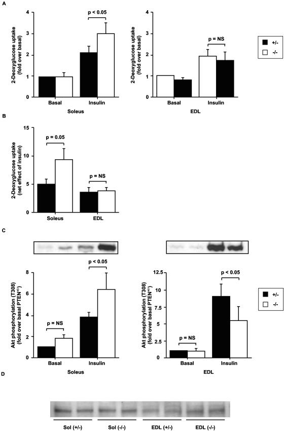 FIG.7.