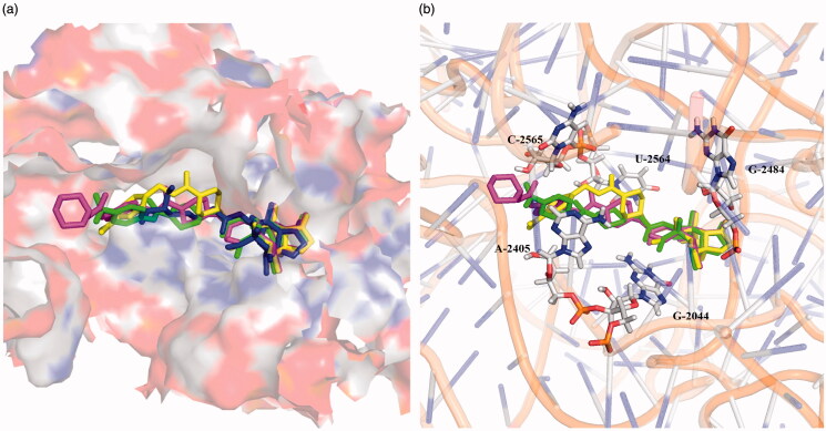 Figure 4.