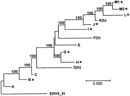 FIG. 2.