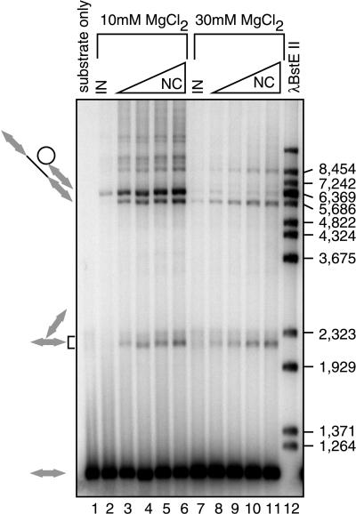 FIG. 5