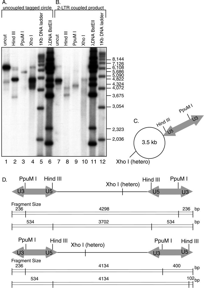 FIG. 6