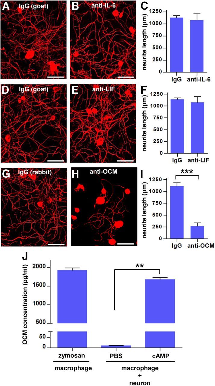 Figure 11.