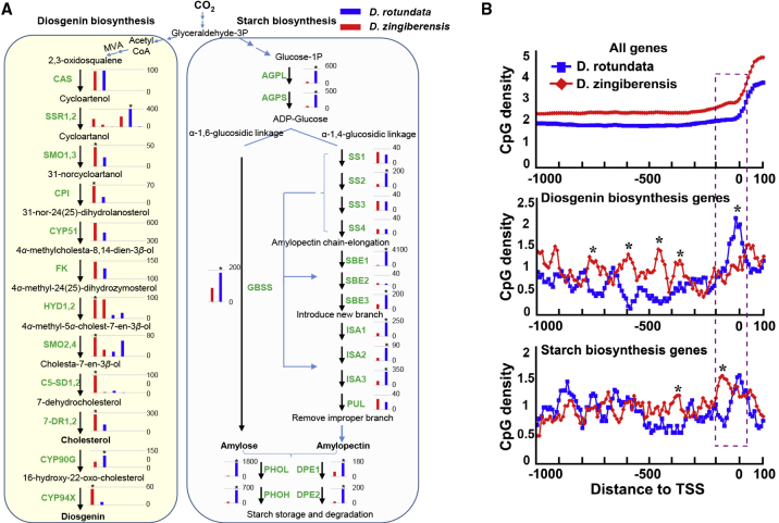 Figure 2