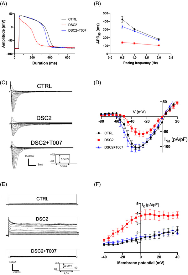 FIGURE 3