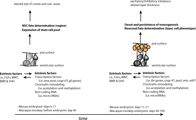 Figure 1