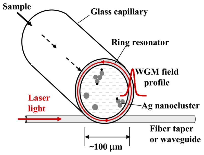 Fig. 1