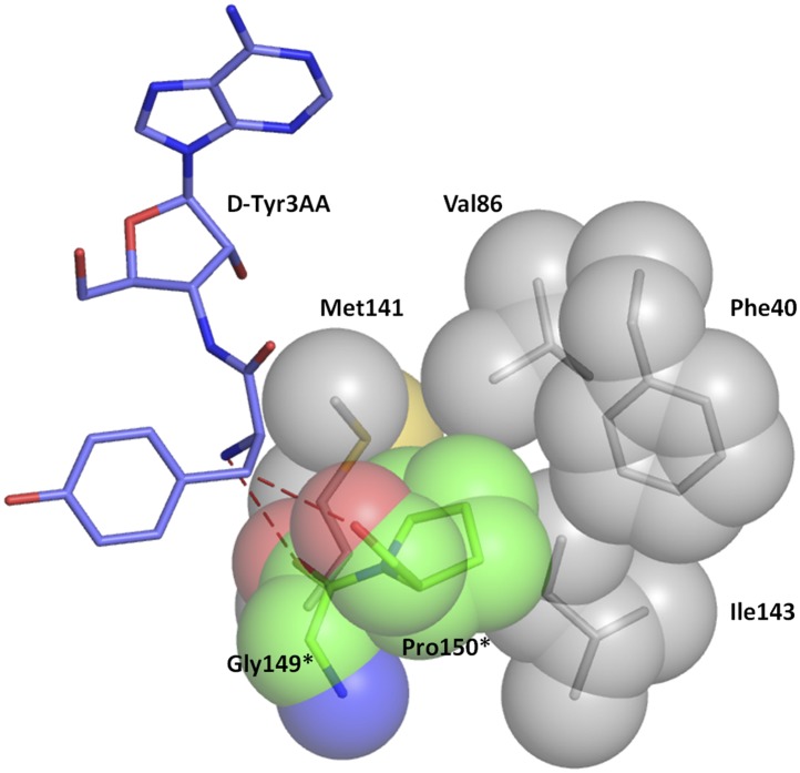 Figure 5—figure supplement 1.