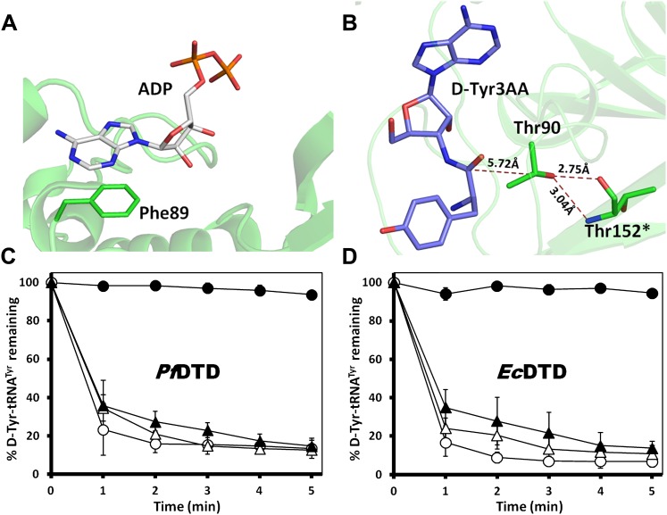 Figure 3—figure supplement 2.