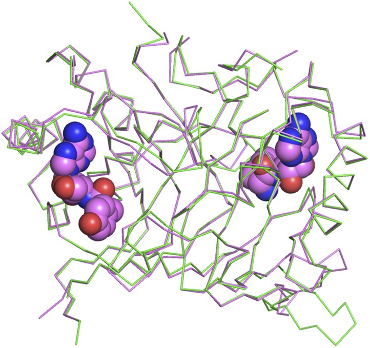 Figure 2—figure supplement 2.