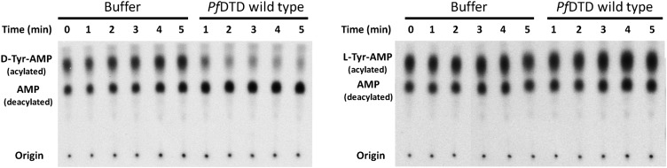 Figure 5—figure supplement 3.