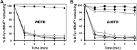 Figure 3—figure supplement 1.