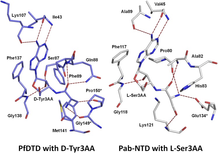 Figure 2—figure supplement 4.