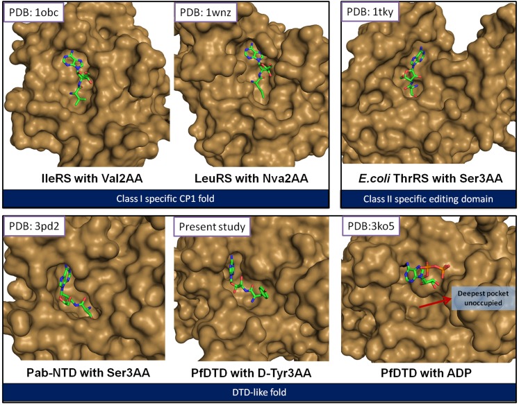 Figure 1—figure supplement 2.