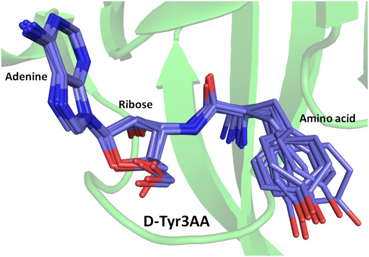 Figure 2—figure supplement 6.