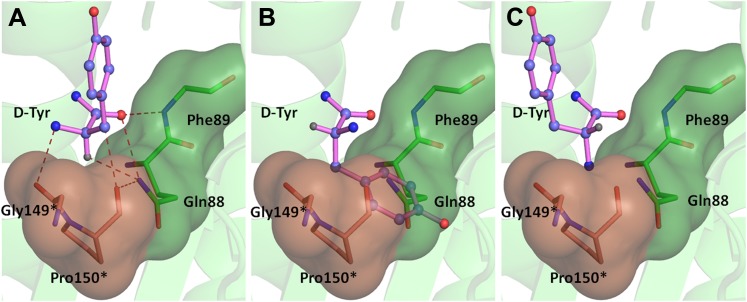 Figure 4—figure supplement 1.