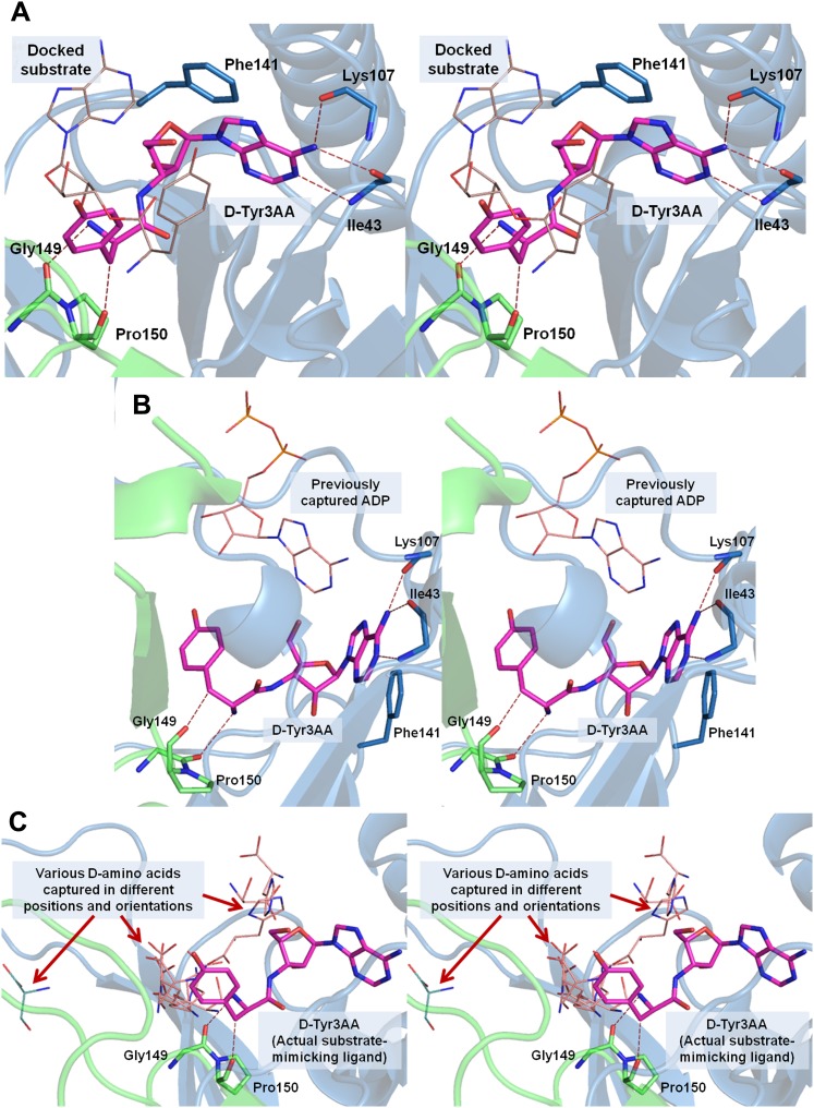 Figure 1—figure supplement 1.