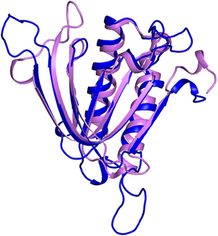 Figure 2—figure supplement 3.