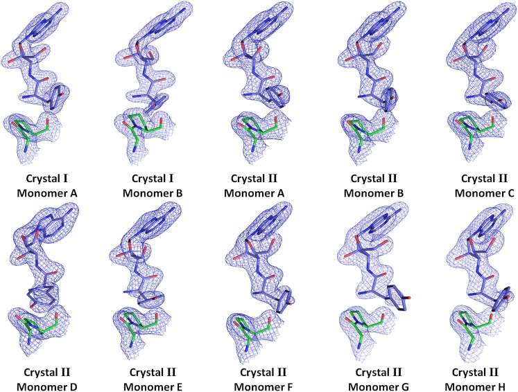 Figure 2—figure supplement 1.