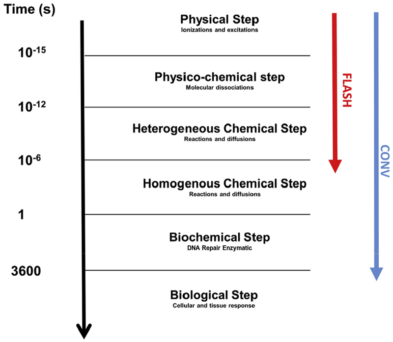 Fig 2.