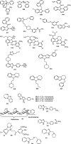 FIGURE 21