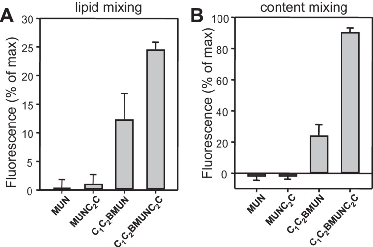 Figure 9—figure supplement 1.