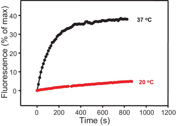 Figure 6—figure supplement 4.