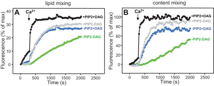 Figure 4—figure supplement 2.