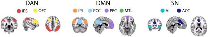 FIGURE 1