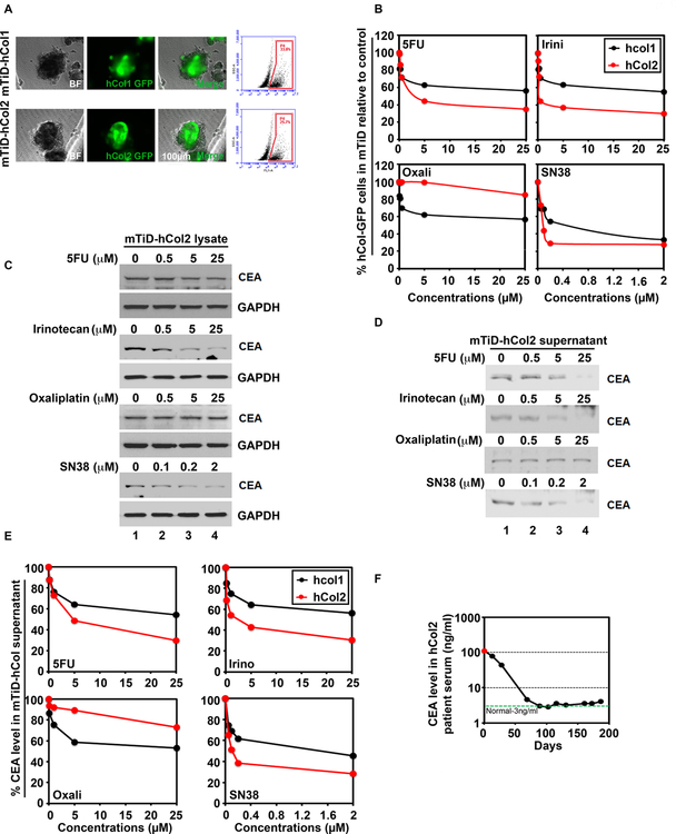 Fig 6.