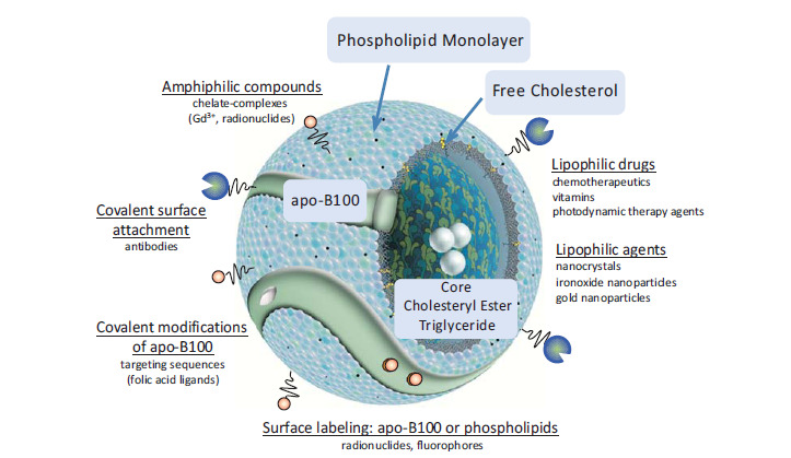 Fig. (3)