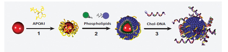 Fig. (5)