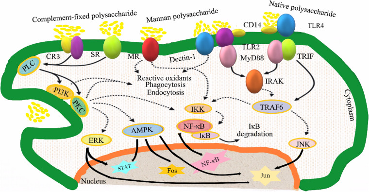 FIGURE 3