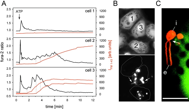 Figure 7.