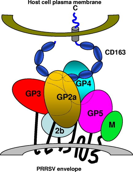 FIG. 6.