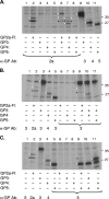 FIG. 2.