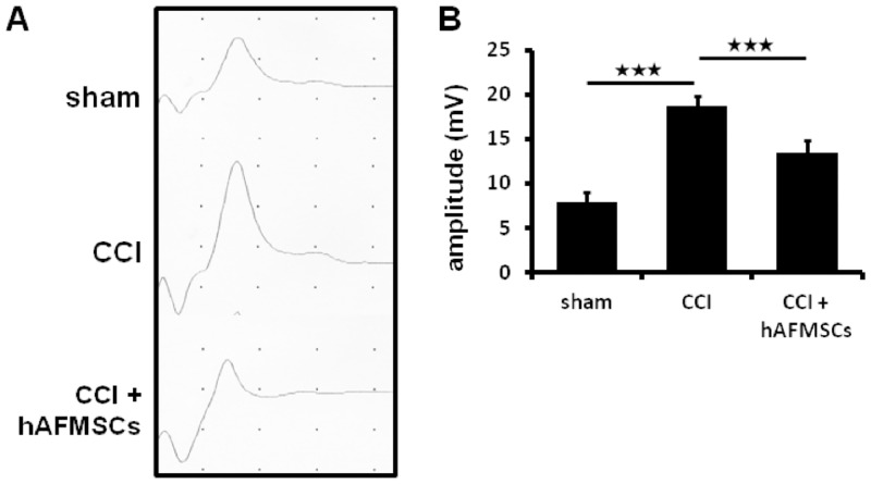 Fig 7