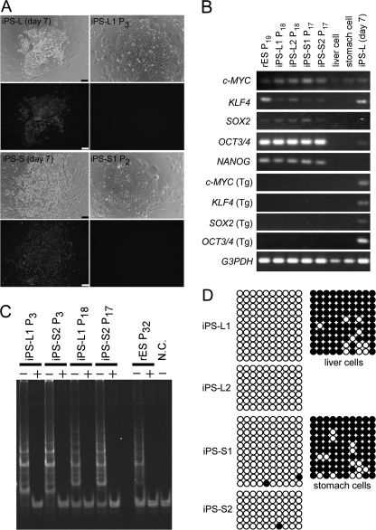 FIGURE 2.