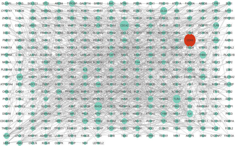 FIGURE 3