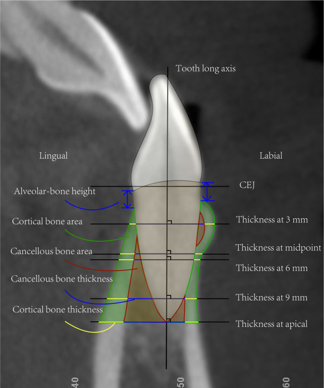 Fig 2