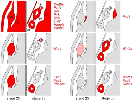 Figure 8