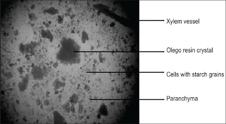 Figure 13