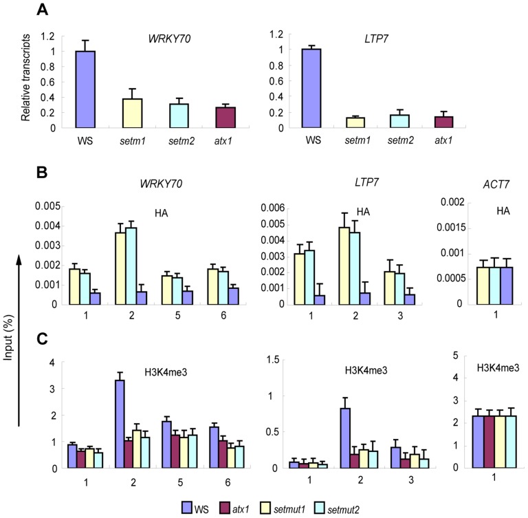 Figure 6