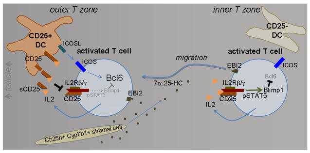 Extended Data Figure 7