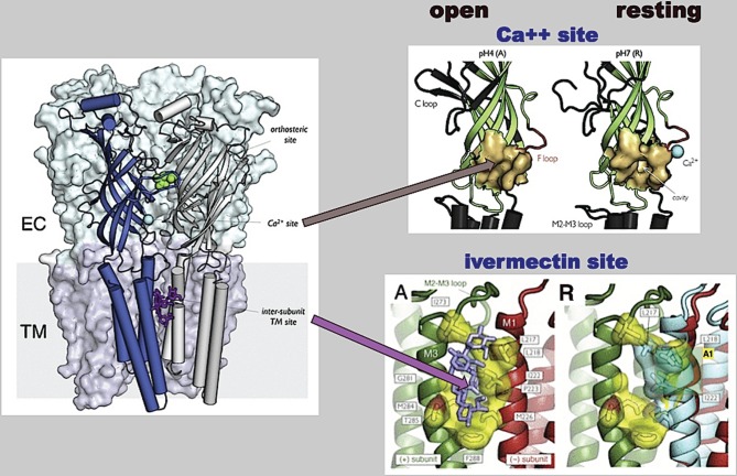 Figure 5.