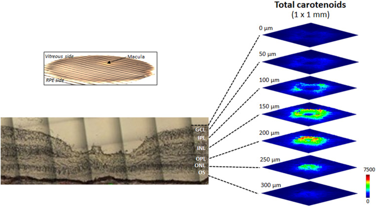 Fig. 7.